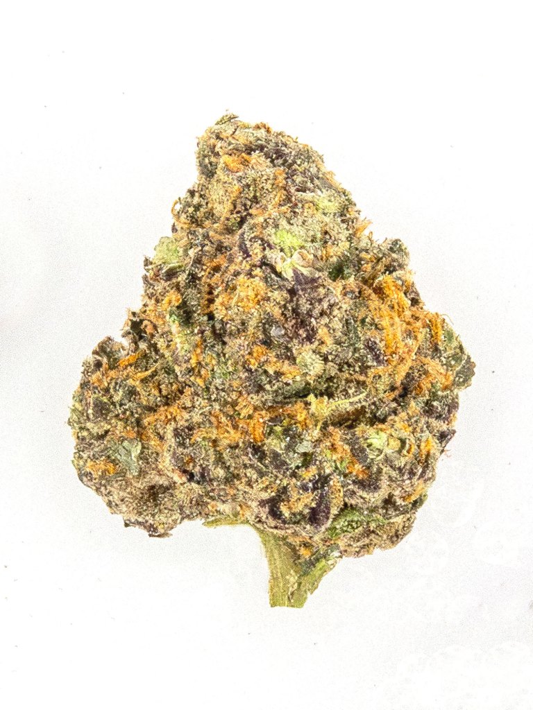 Grape Gushers