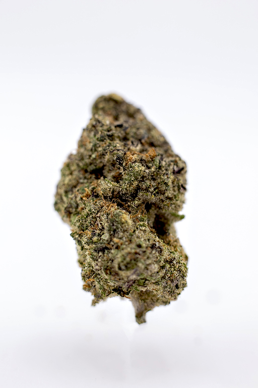 Grape Lobster