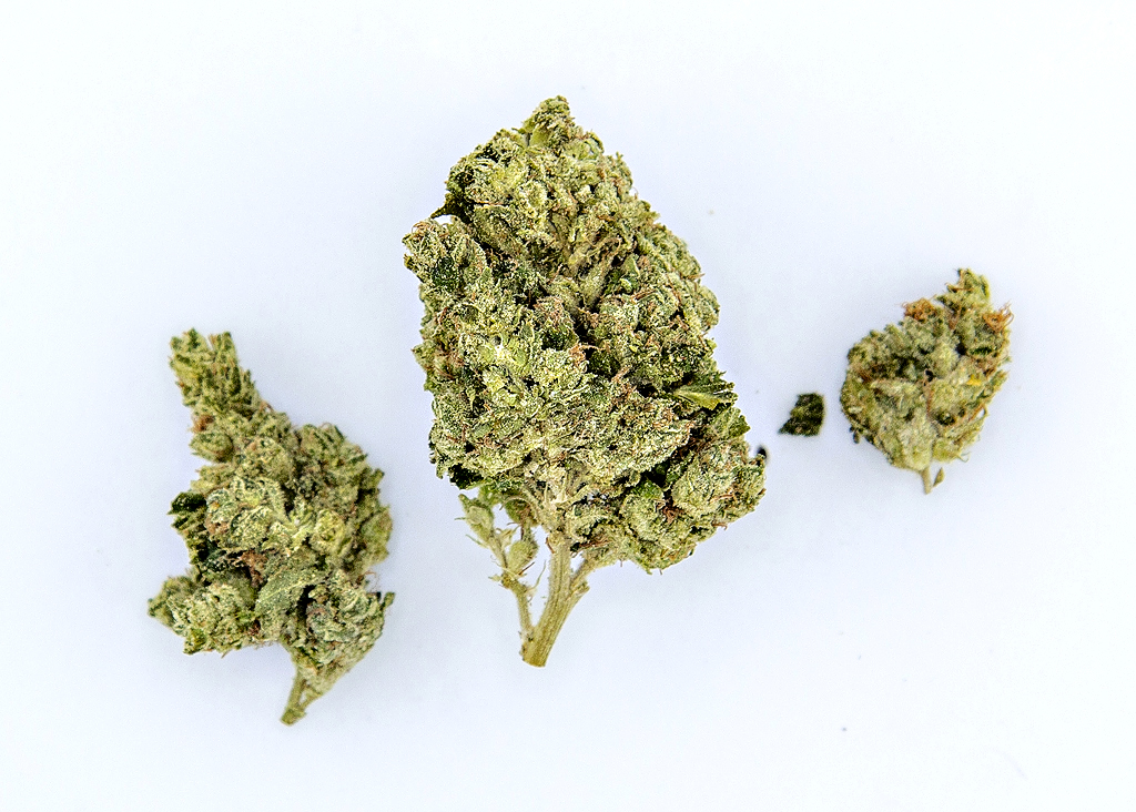 Sour Diesel Headbandz