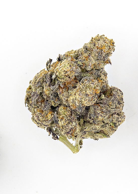 Space Coast Gelato